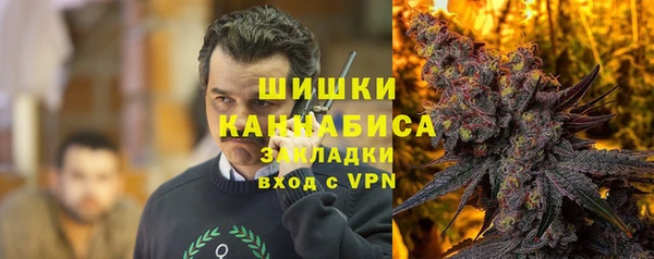 СК Бронницы