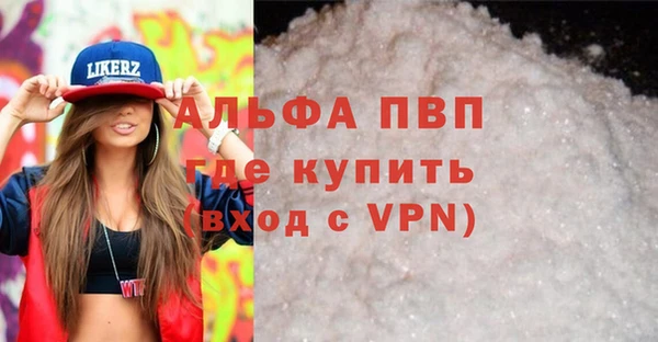 СК Бронницы