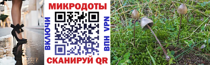 Галлюциногенные грибы мицелий  сколько стоит  shop клад  Екатеринбург 